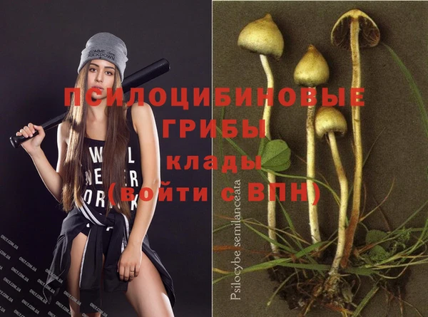 МДПВ Надым