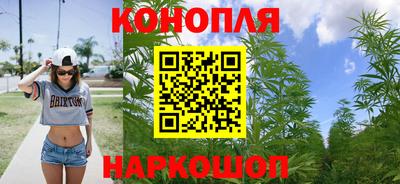 ALPHA PVP Пугачёв