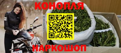 ALPHA PVP Пугачёв