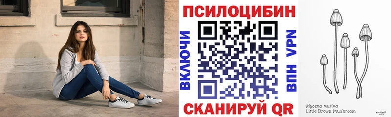 где можно купить   Шадринск  Псилоцибиновые грибы Psilocybine cubensis 