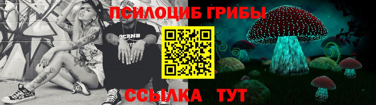 Галлюциногенные грибы ЛСД  Вход с VPN  Шадринск 